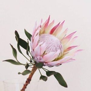 Meet your Posher, Karina